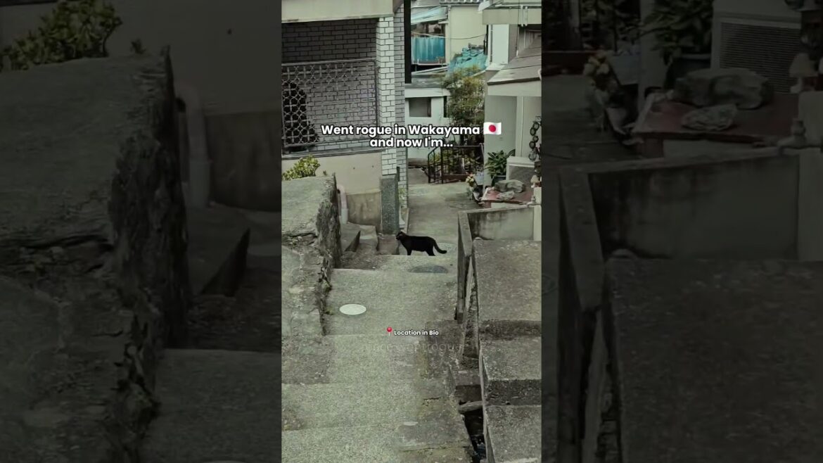 Location :📍 Bandoko Gardens , Wakayama #shorts #traveljapan #wakayama #japaneseculture #travelvlog