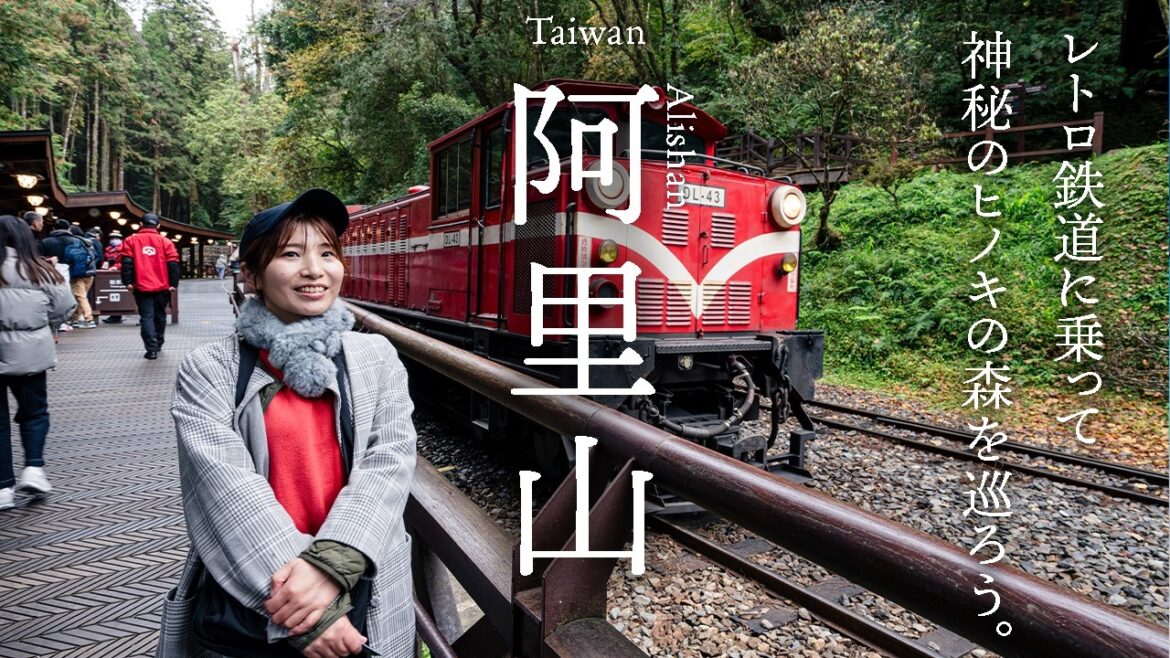 【台湾旅行】 日本人が知らない秘密の観光地・阿里山！ レトロな阿里山森林鉄道に乗り、巨木の檜の森を歩く旅【VLOG】