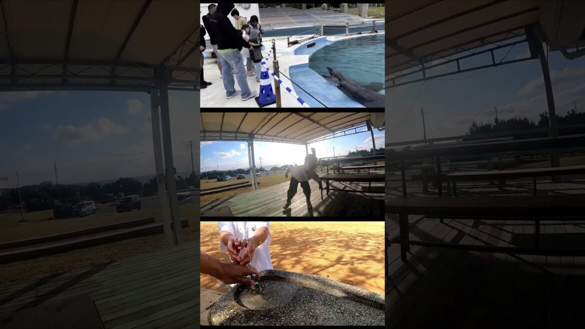 How to travel in Okinawa