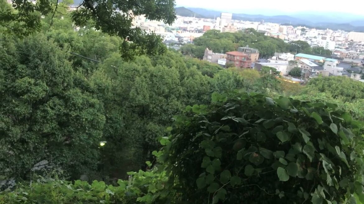 Wakayama City viewed from Wakayama Jo (castle) gardens