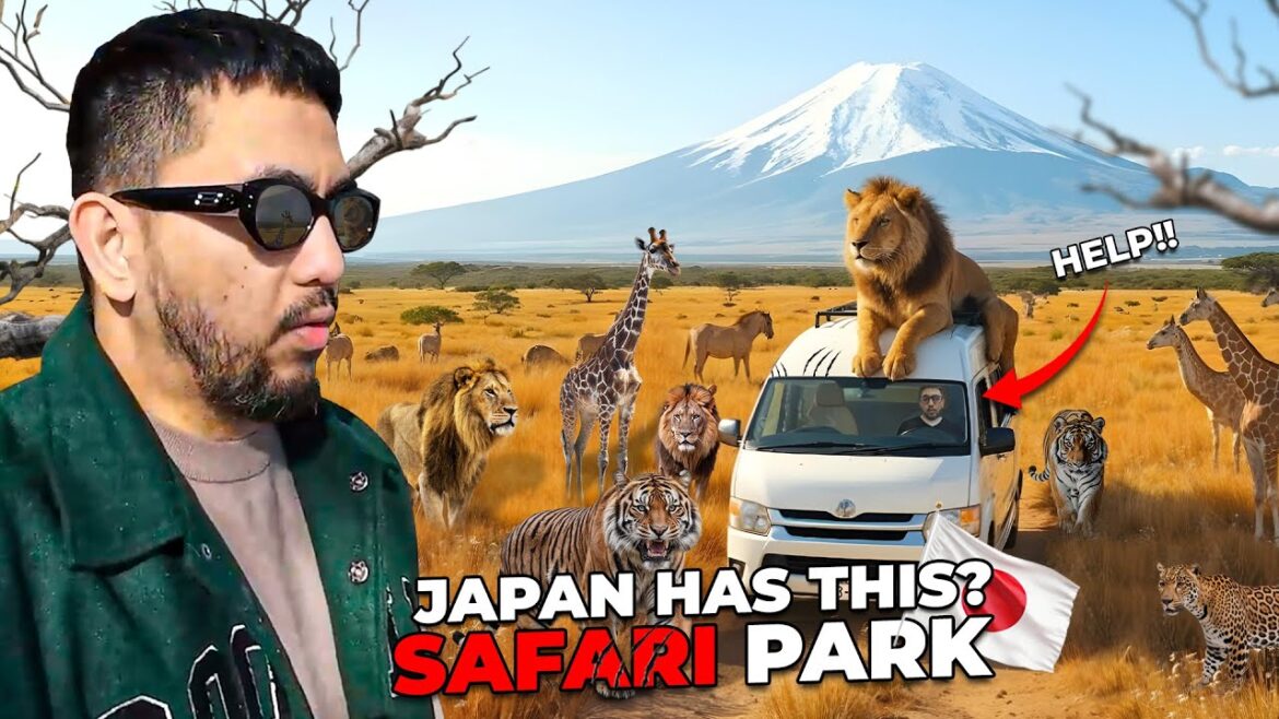 Fuji Wild Safari Park | Face To Face Encounter With The Wild Animals 🇯🇵🦁