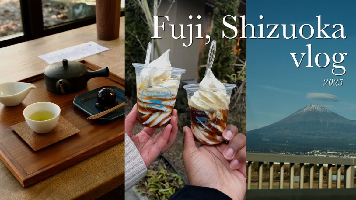 Trying Traditional Tea🍵, Paragliding🪂  & Seeing Mt. Fuji😍🗻 ~ Fuji, Shizuoka Vlog || Life in Japan Trying Traditional Tea🍵, Paragliding🪂  & Seeing Mt. Fuji😍🗻 ~ Fuji, Shizuoka Vlog || Life in Japan