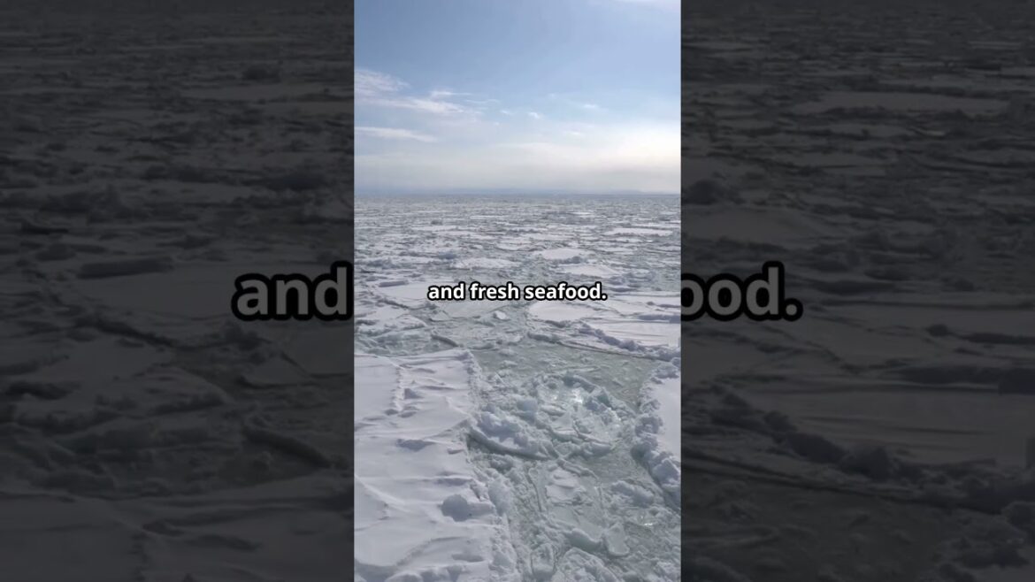 Japan travel guide #travel #placesyouwanttovisitoneday #touristattractions #facts #topdestinations