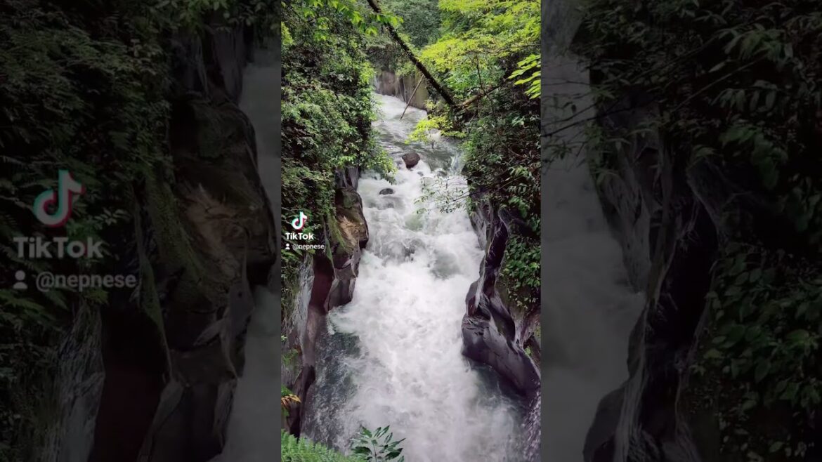 Kagoshima! to the south of the japan!