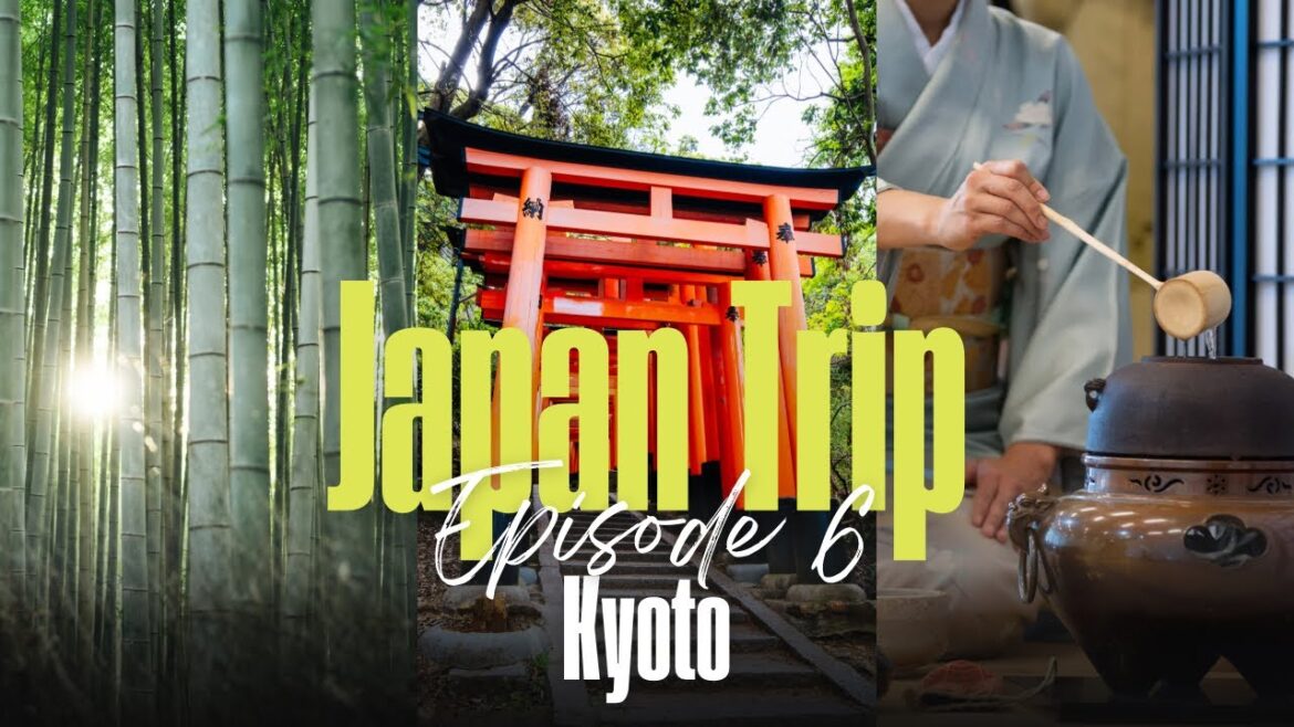 🇯🇵 Kyoto Zen Moments: Kodaiji Temple, Tea Ceremony & Fushimi Inari | Japan Walking Tour