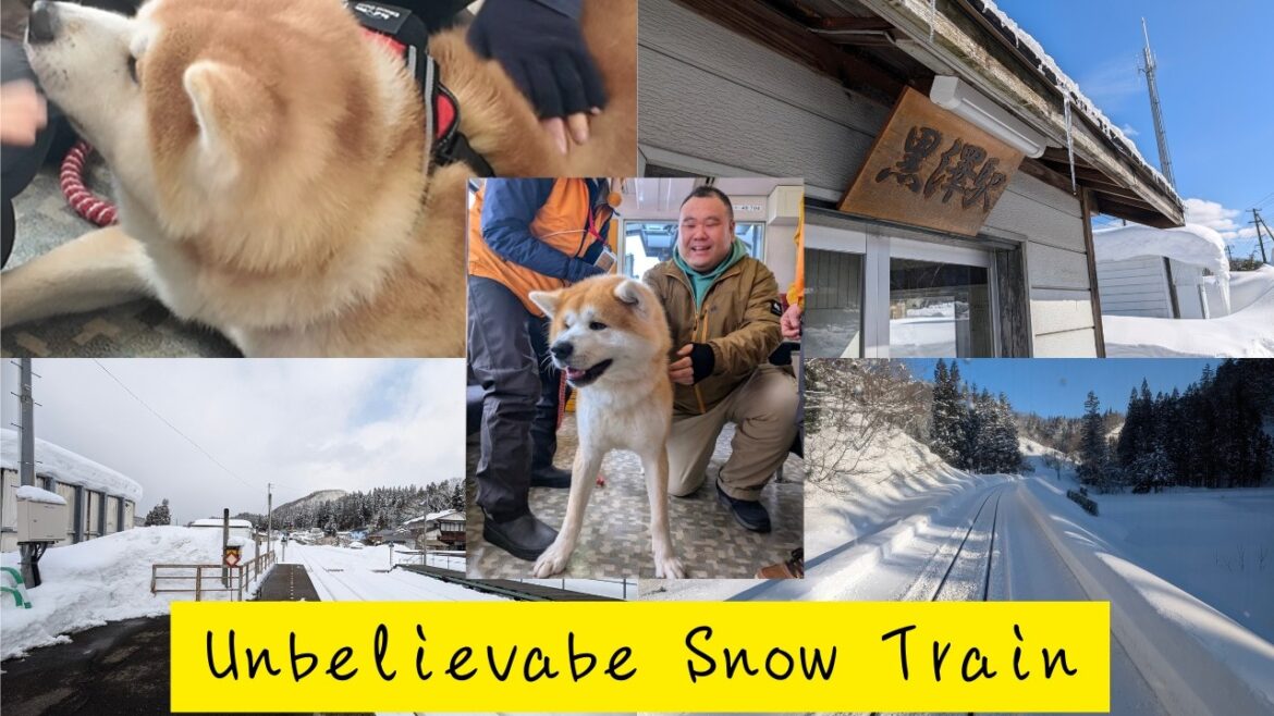 ⛄❄️【秋田犬と鉄道と雪景色】秋田にビューーン！！【どこかにビューーン】⛄❄️