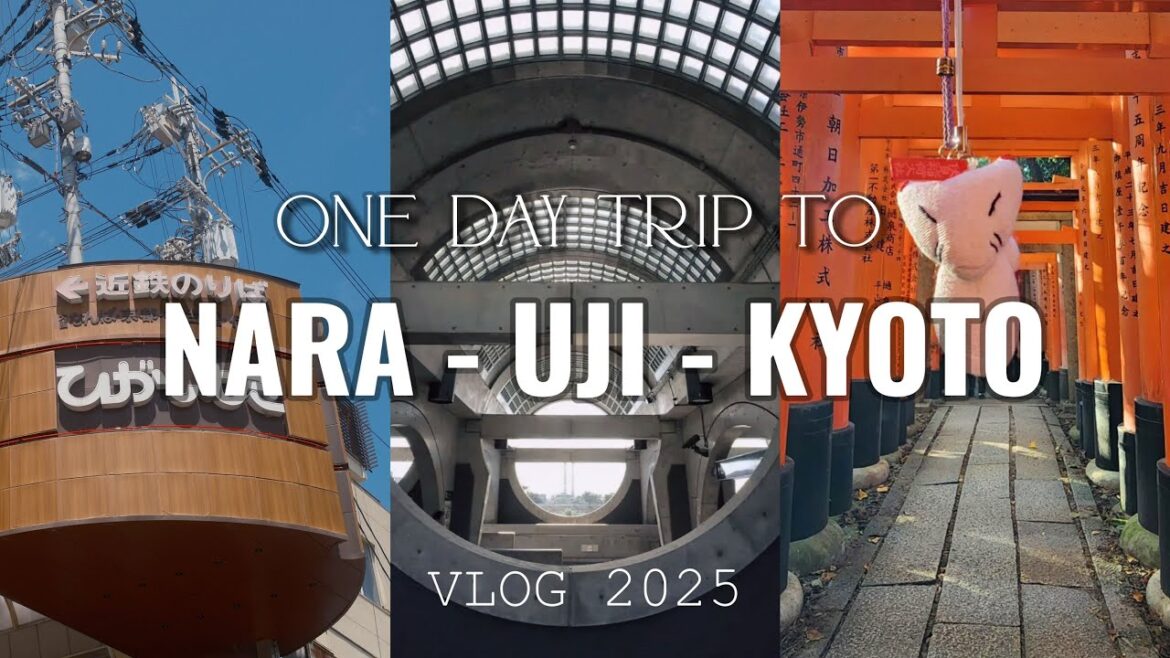 A daytrip to Nara, Uji, Kyoto From Osaka!