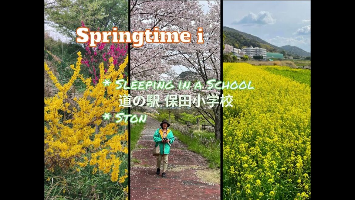 Hello, spring in Chiba!