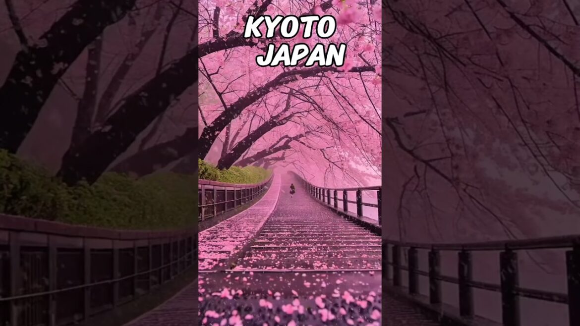PLACES you must visit in JAPAN #kyoto #japan #shorts PLACES you must visit in JAPAN #kyoto #japan #shorts