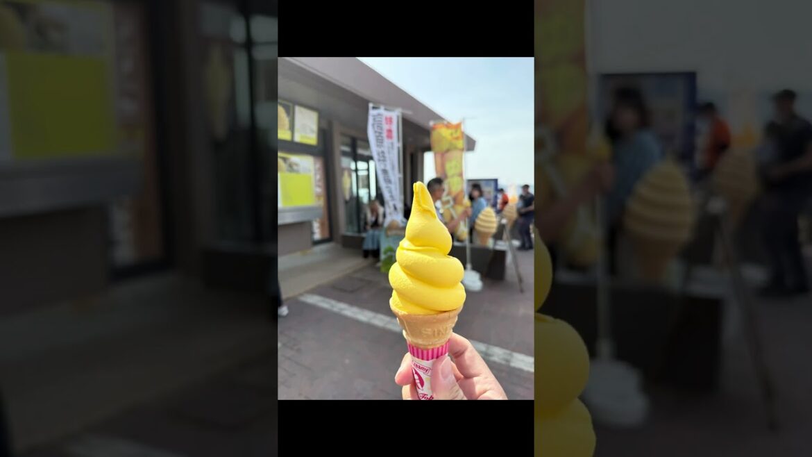 2-Day Hakone with Kids & Elderly using the Freepass 🎫