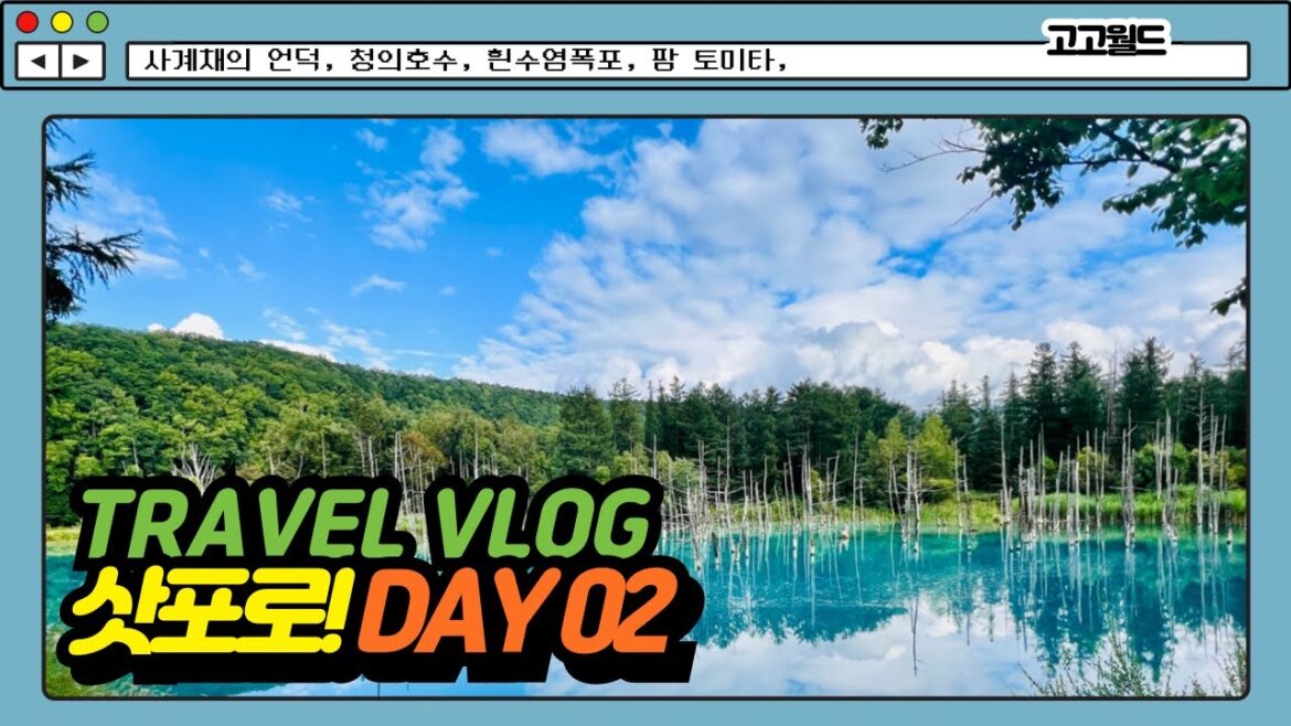 🇯🇵 삿포로(Sapporo) Travel Vlog Day 2 (사계채의언덕, 청의호수, 흰수염폭포)