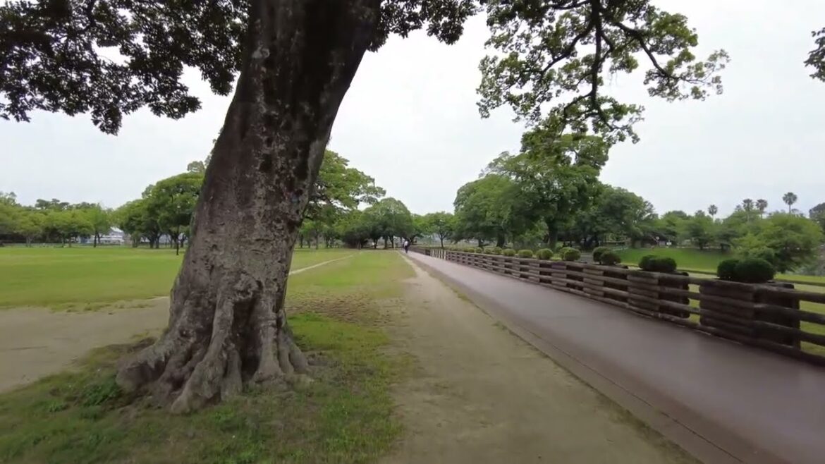 Japan, Kumamoto, walk to Ninomaru Park