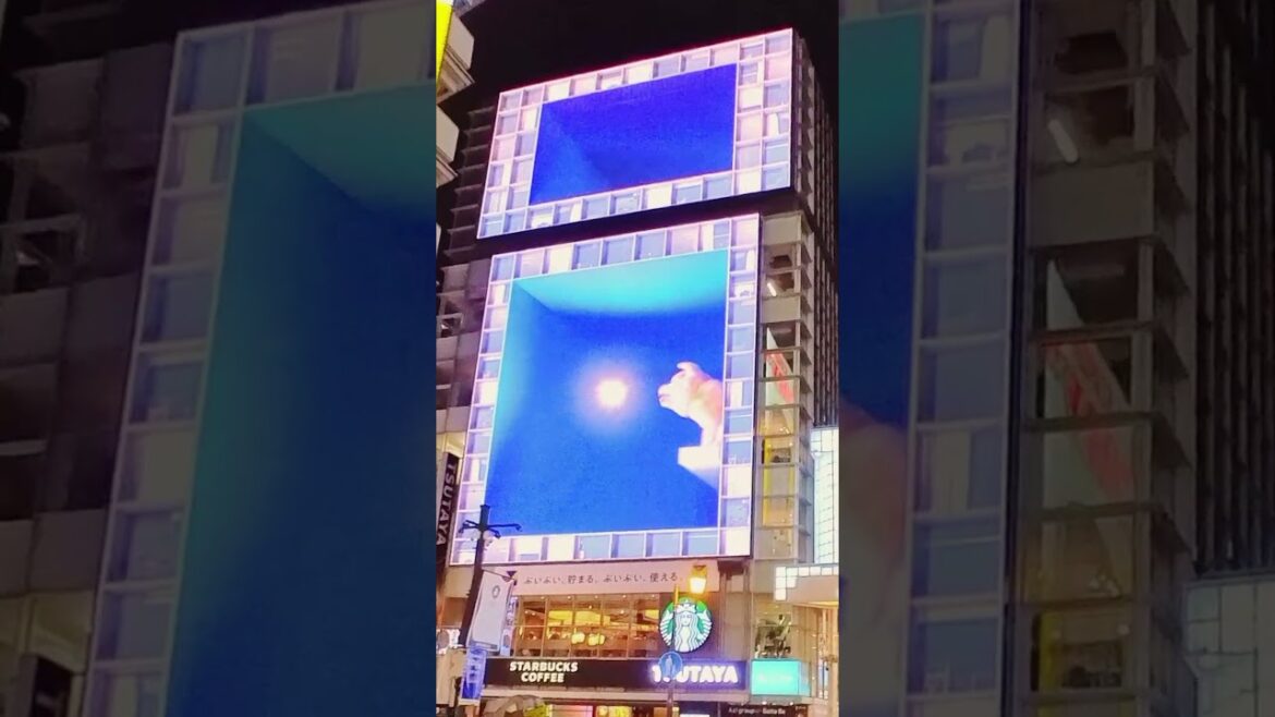 Cutest Billboard in Osaka?! 🐶🐾 | 3D Akita Inu in Dotonbori
