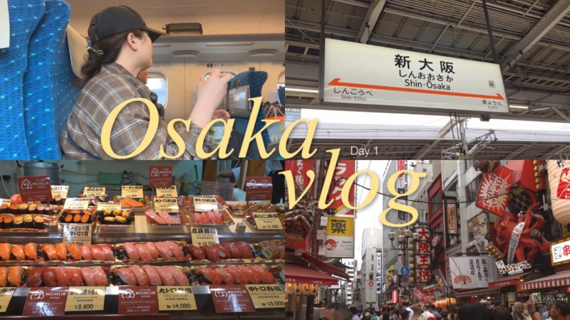 Travel vlog | short trip to Osaka Day 1 | Diaries Travel vlog | short trip to Osaka Day 1 | Diaries