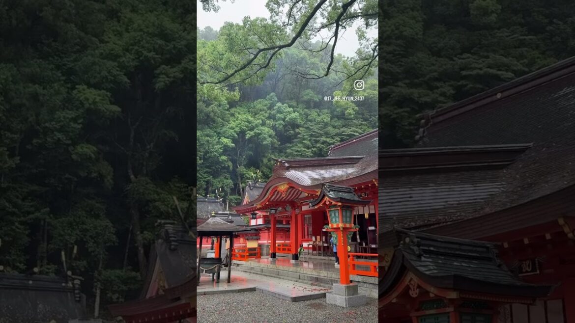 일본 #와카야마 여행 #wakayama 비가와도 좋은 곳. #일본여행