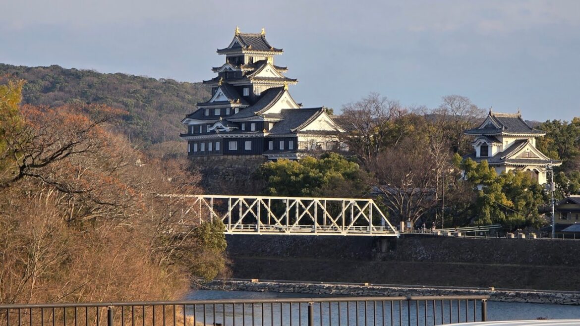 Walking in Okayama (Okayama Castle) Japan