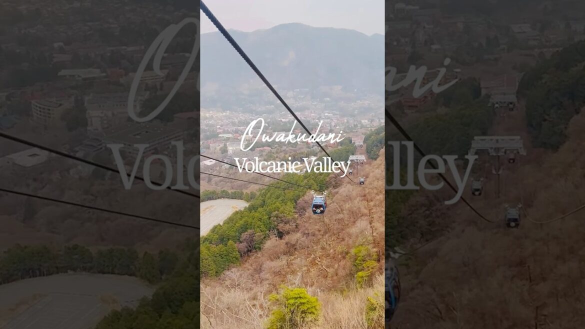 🌋 Owakudani, Hakone | Japan's Volcanic Valley in 48 Seconds! 🇯🇵