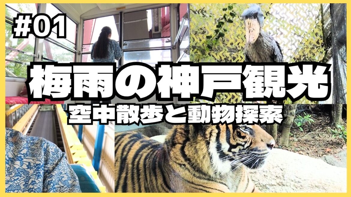 【神戸】傘なしで大正解のひとり旅！梅雨の神戸・空中散歩と癒しの動物園｜ 須磨浦公園・神戸どうぶつ王国【1日目】