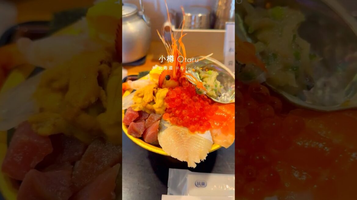 오타루 여행 이렇게 하시고 낭만 가득 채우셔요. 러브레터 촬영지. 7~8월 일본 여름 여행지 추천. 홋카이도 여행 #일본여행 #travel  #loveletter #初恋  #小樽