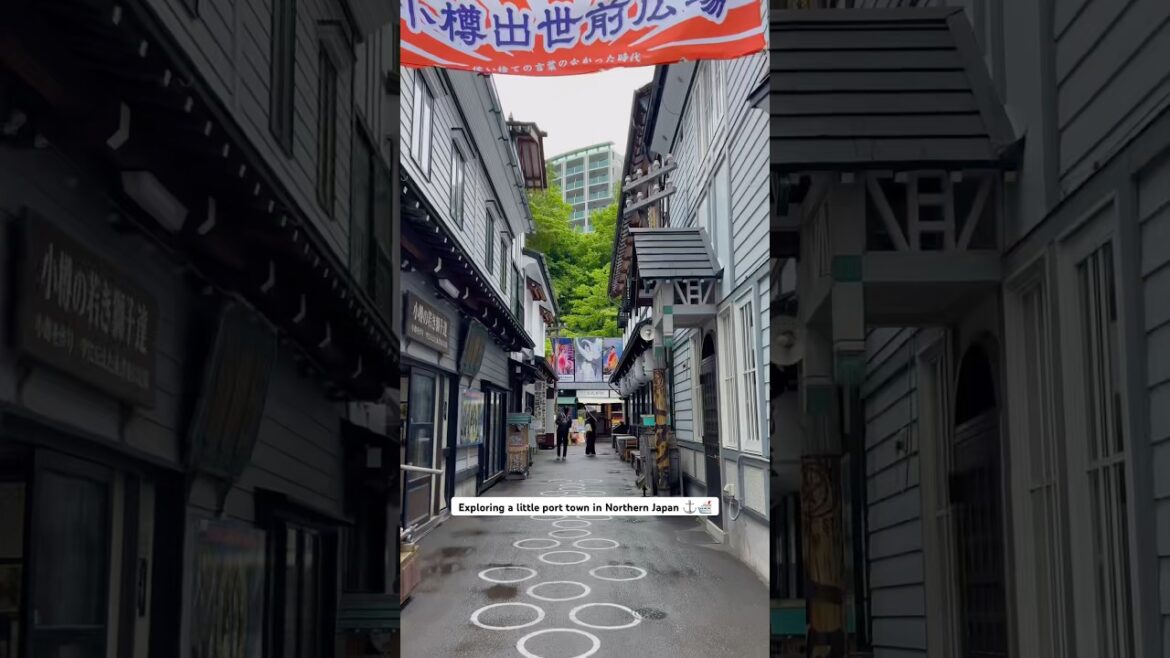 Northern Japan is so beautiful ⛰️⚓️ #hokkaido #otaru #japan