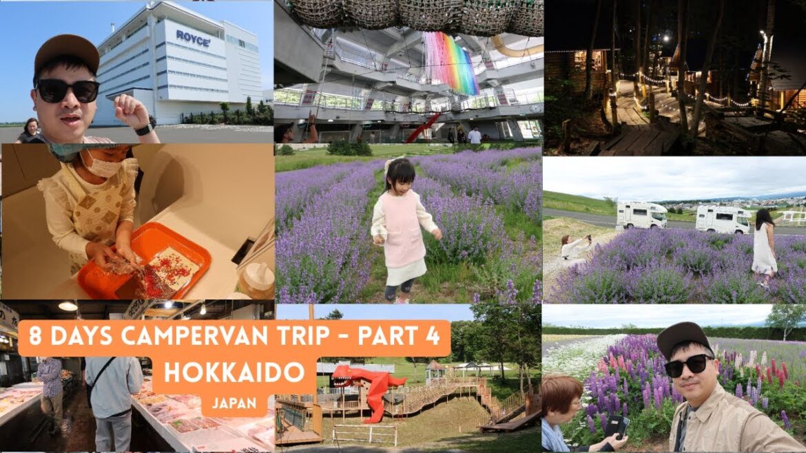 8 DAYS CAMPERVAN WITH KIDS / JUNE HOLIDAY / HOKKAIDO JAPAN - PART 4/ Royce Chocolate Factory, Furano