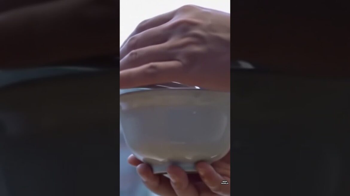 Kyoto Stillness in Motion - The Journey That Changed Me 4