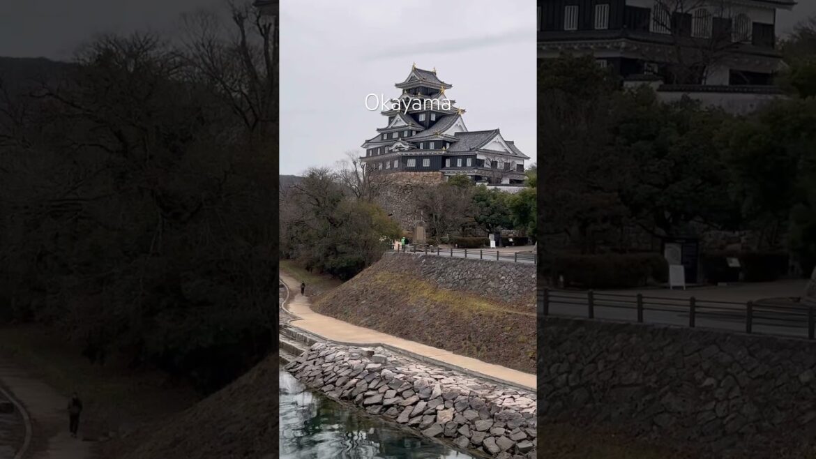 Okayama trip 🍠🇯🇵🚣🏯 #okayama #okayamacity #kurashiki #오카야마 #โอคายาม่า #travel