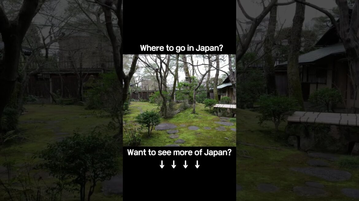 Discovering the Timeless Charm of Ohara Residence｜旧大原家住宅の魅力を探る｜探索舊大原家住宅的永恆魅力#OharaHeritage #travel