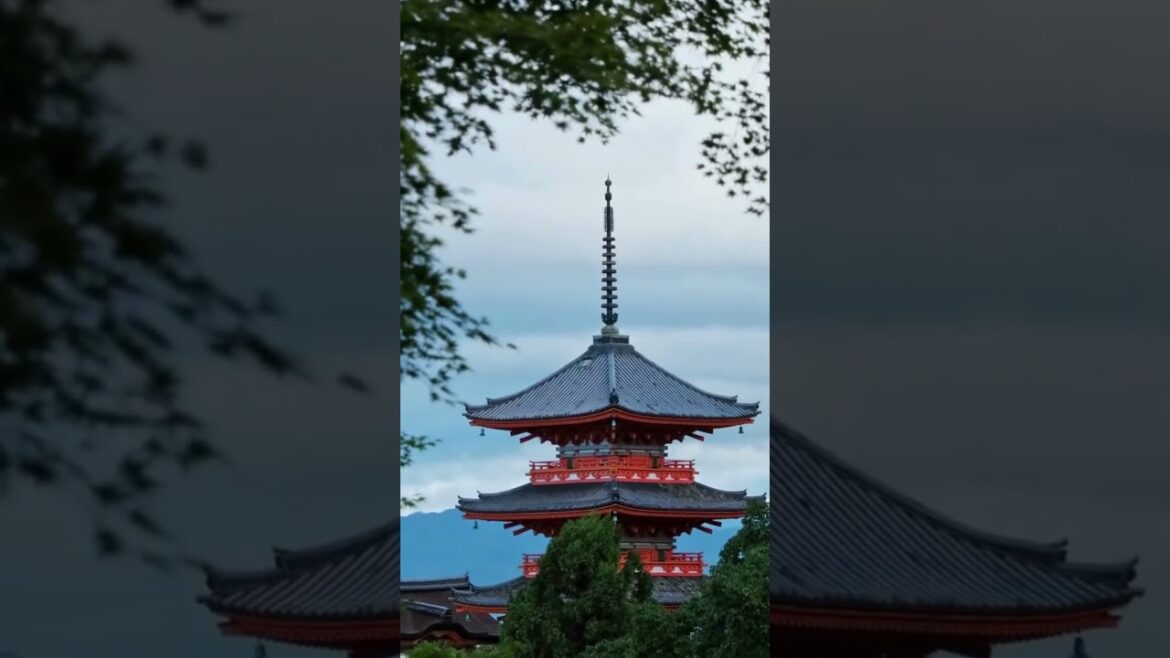 Top 3 places to visit in Kyoto, Japan 🇯🇵 #travel #worldattractions #beautifuldestinations #shorts