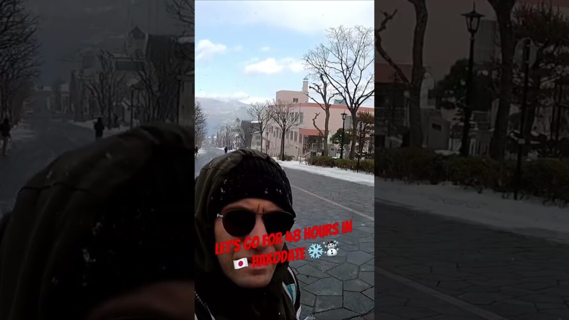#japan #hokkaido #hakodate #travel #vlog #winter #trip #burger
