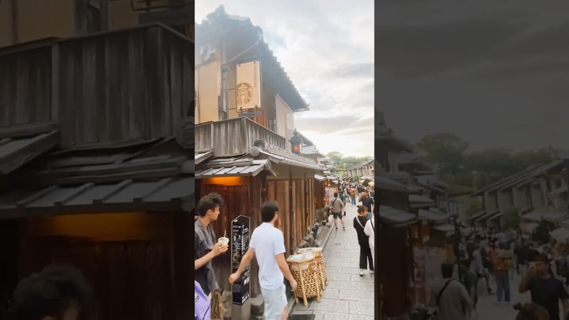 Wandering historic street of Kyoto🇯🇵#kyoto #streets #japan #youtubeshorts #youtube #asmr #shorts