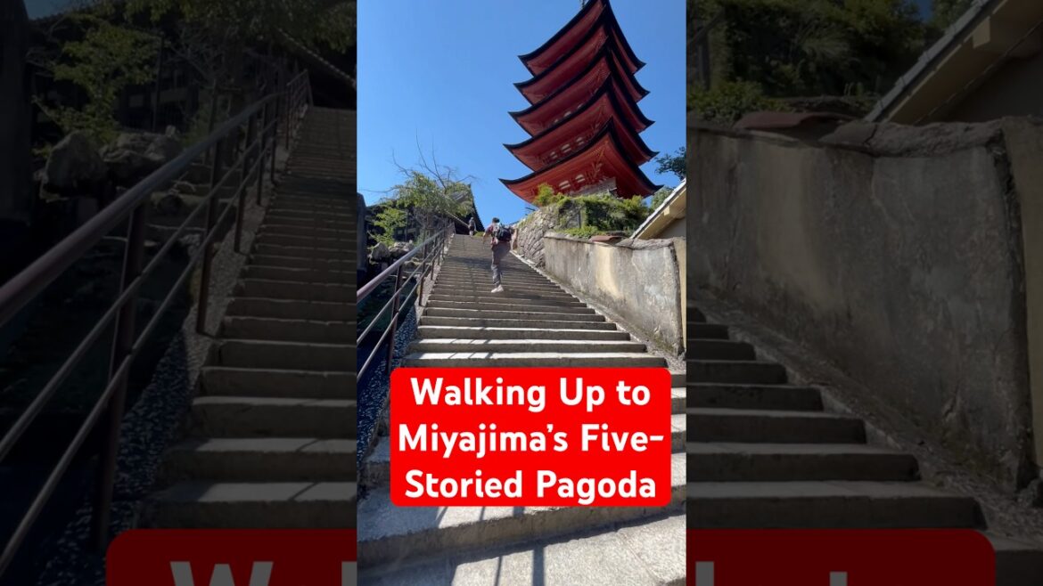 Climbing Steps to Japan’s Historic Pagoda 😍 #shorts #ytshorts #trending #travel #youtube #viral Climbing Steps to Japan’s Historic Pagoda 😍 #shorts #ytshorts #trending #travel #youtube #viral