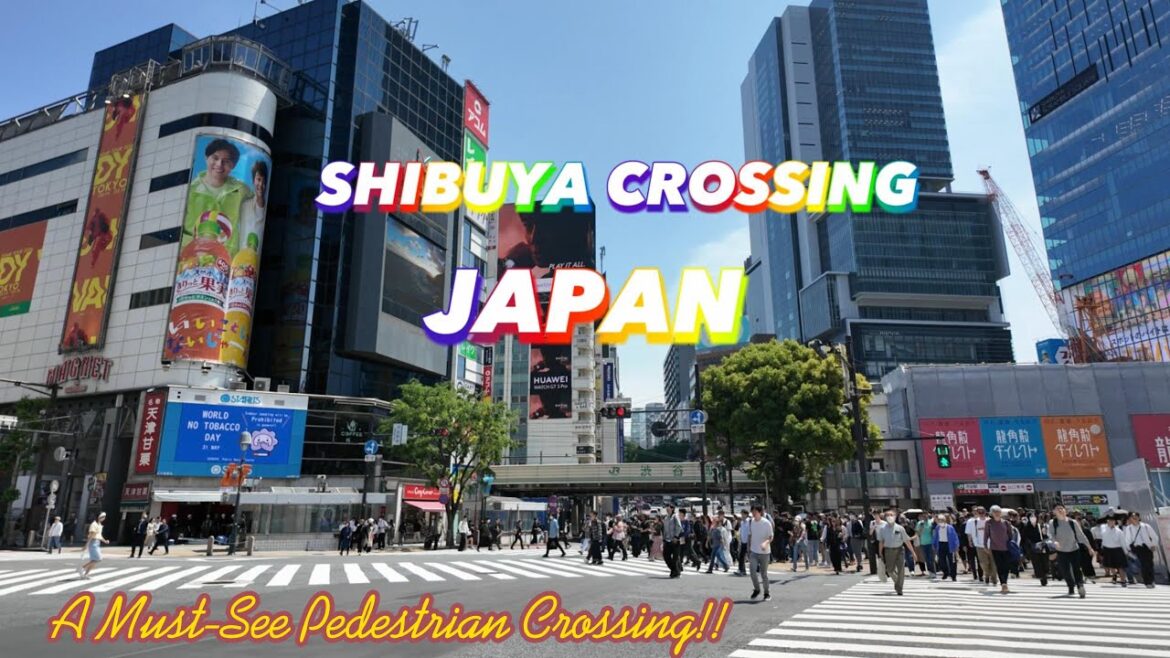 This is Shibuya Crossing – Tokyo's Famous Scramble! 😳🇯🇵 #tokyo #walktour #japantravel #japan