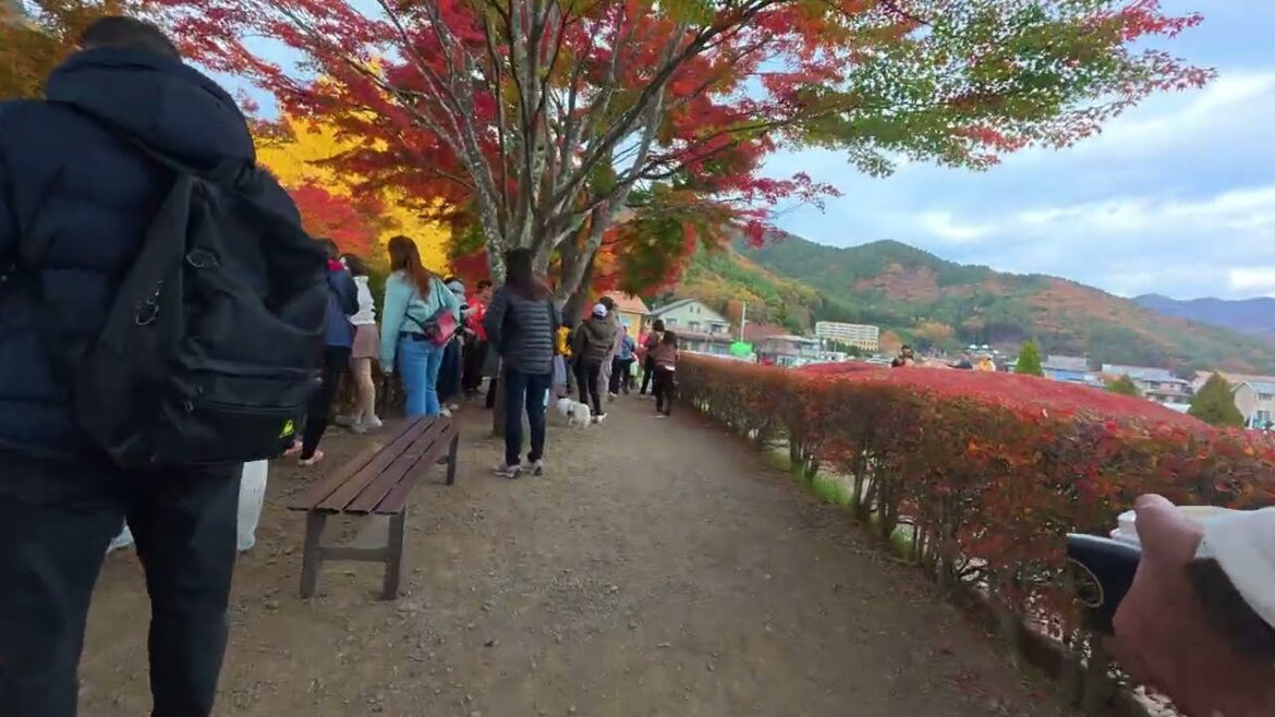 Kawaguchiko in Autumn Kawaguchiko in Autumn