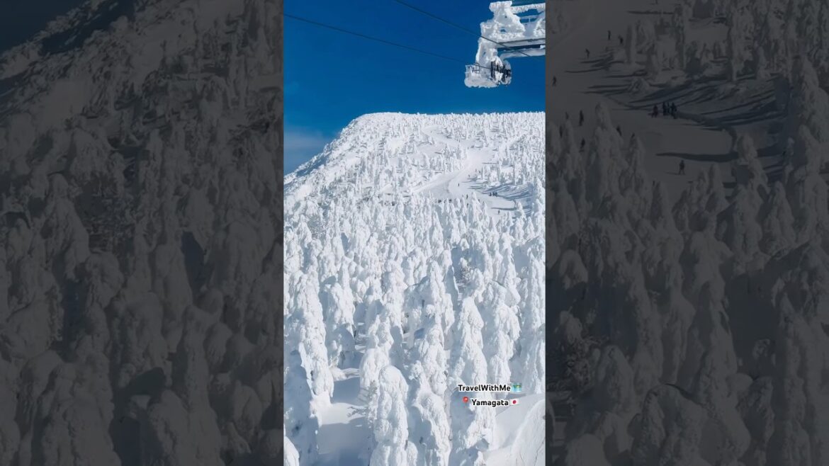Yamagata , Zao Onsen Ski Resort❄️🏂🌨️ Amazing☝️