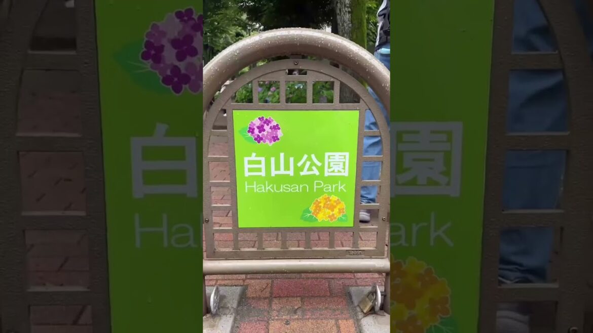 hydrangea spots in north tokyo hydrangea spots in north tokyo