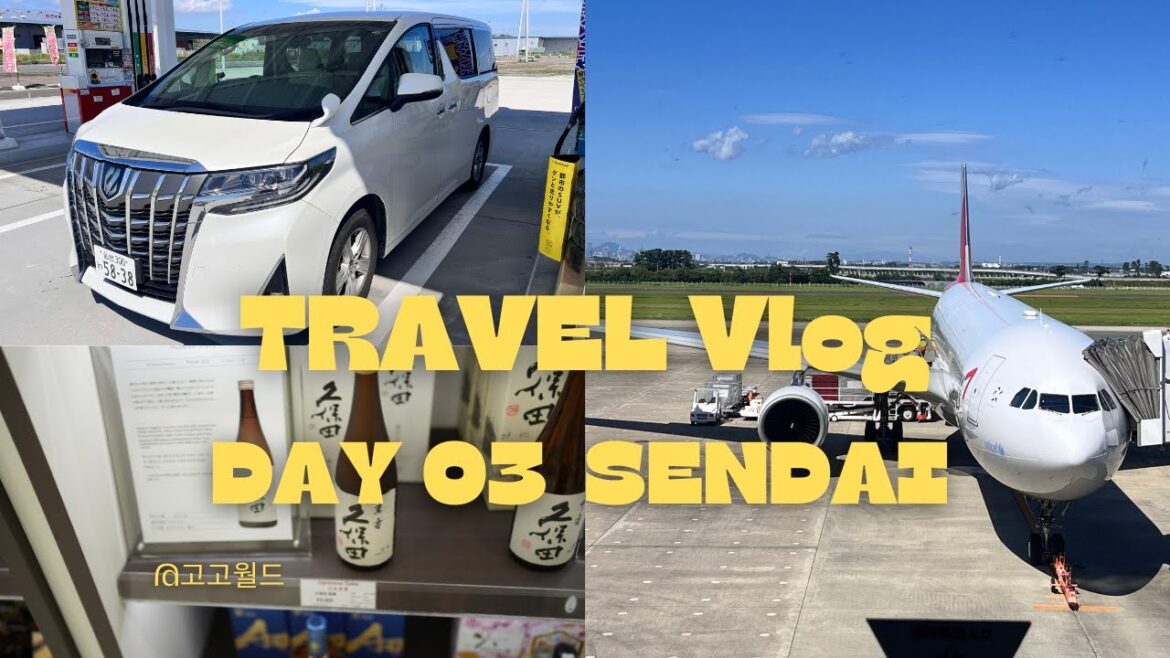 ๐ฏ๐ต ์ผ๋ค์ด(Sendai) Travel Vlog Day 3 (ํ๋ฆฌ๋ฐ์ด์ธ ์ผ๋ค์ด, ์ผ๋ค์ด ๊ณตํญ) ๐ฏ๐ต ์ผ๋ค์ด(Sendai) Travel Vlog Day 3 (ํ๋ฆฌ๋ฐ์ด์ธ ์ผ๋ค์ด, ์ผ๋ค์ด ๊ณตํญ)