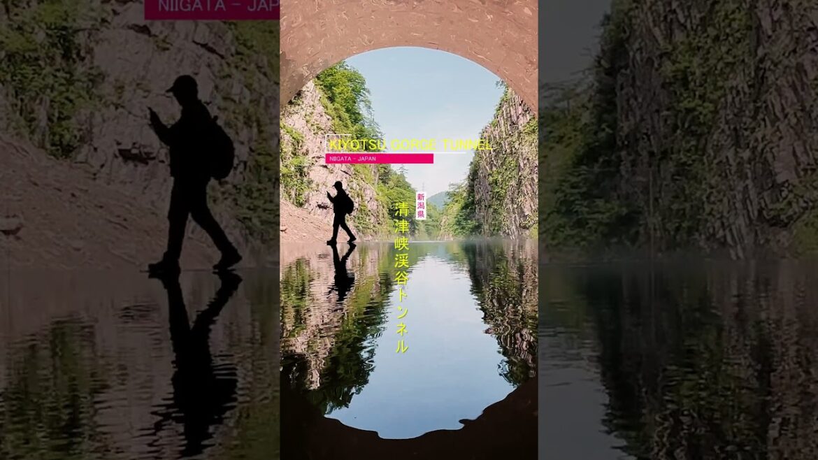 🪞 Nature Meets Art in Niigata: Into the Mirror Tunnel of Kiyotsu Gorge 🌌