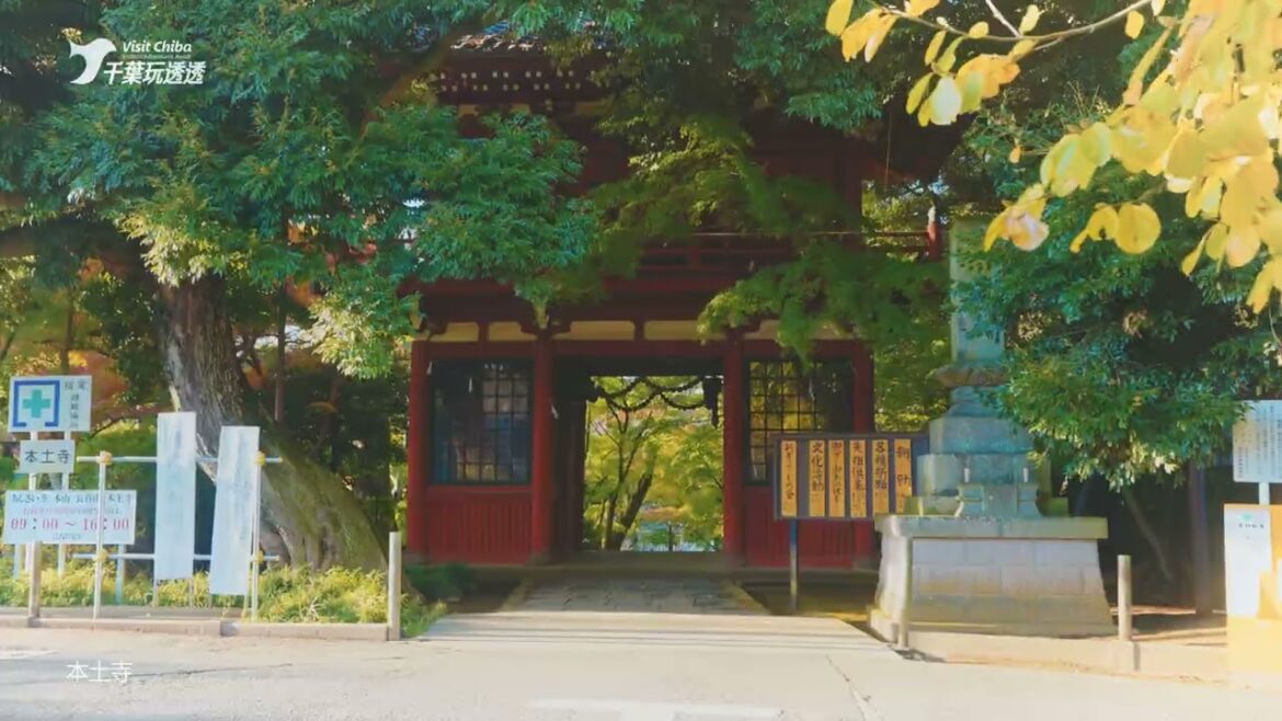 晩秋の見どころ｜千葉玩透透 Visit Chiba