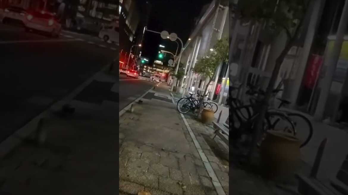 Aomori Nightscape Where Colors Come Alive 🎨🌌 Aomori Nightscape Where Colors Come Alive 🎨🌌