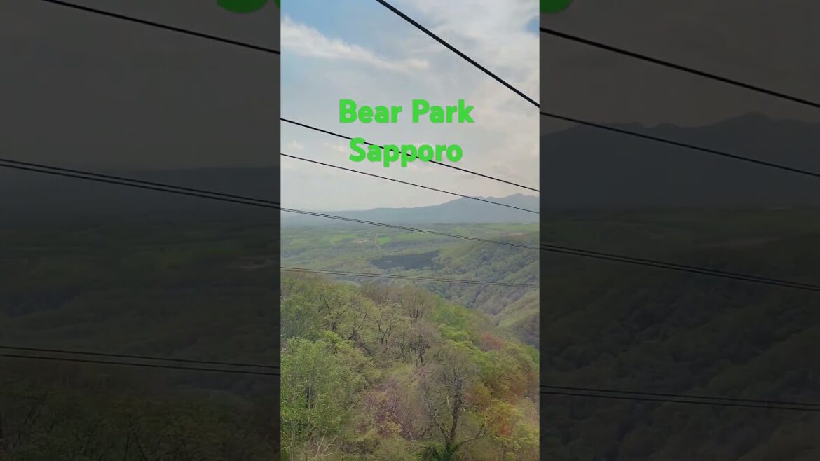 Bear Park in Sapporo #bear#sapporo