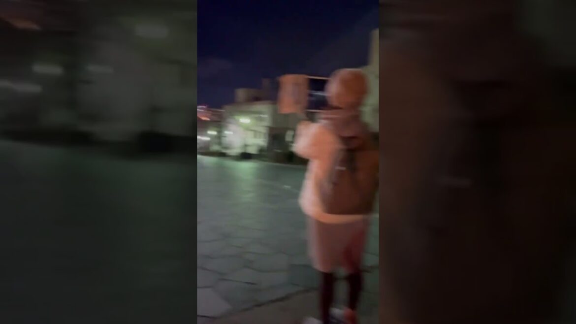 【HOKKAIDO】Must-See Tourist Attraction - Mt.Hakodate