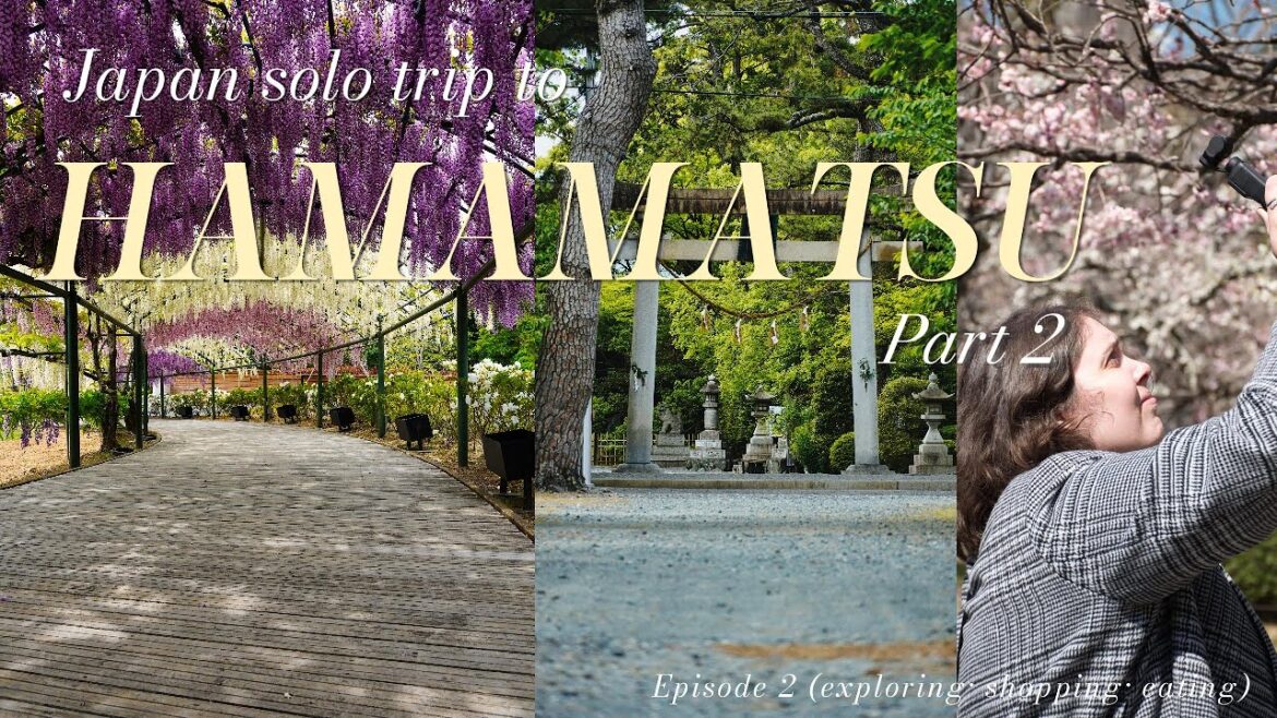 Nobody Told Me Japan Had Places Like THIS | Solo Trip to Hamamatsu Shrines, Whisteria & Scenic Walks