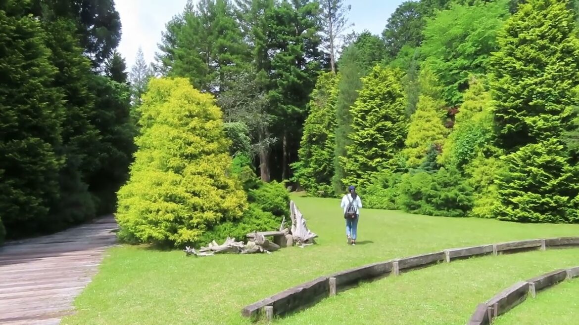 Red Hill Hisa no Mori & Sekijuku 2024