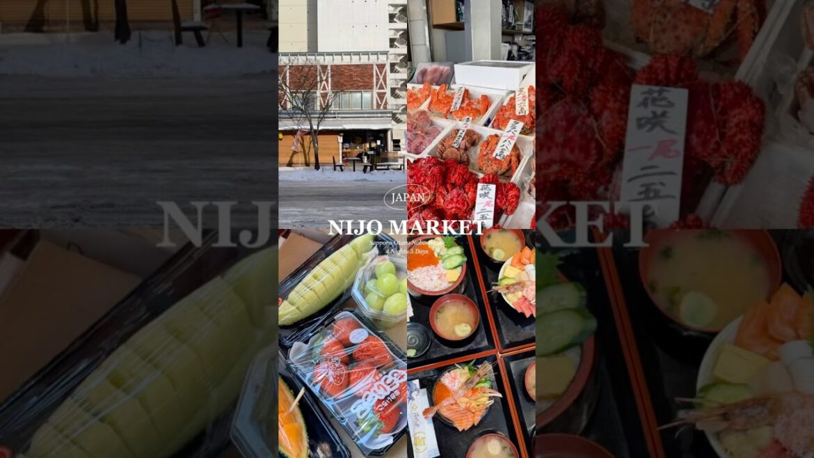 NIJO MARKET 🦀🐙🍱 #hokkaidotravel #sapporo #travel #hokkaidotrip