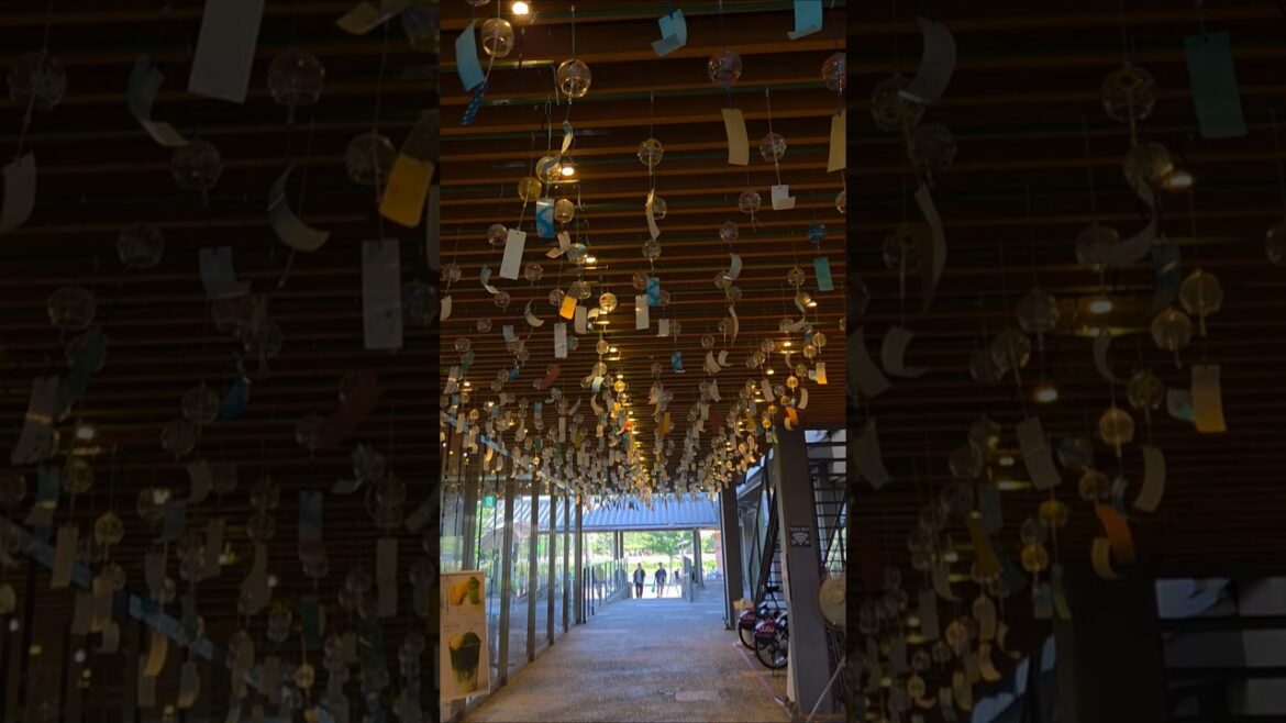 #교토#아라시야마