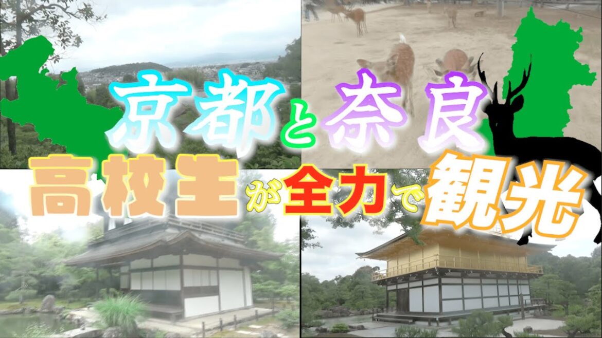【日本旅行】京都と奈良を仙台人が全力で観光！ただひたすら関西を楽しむぞ！
