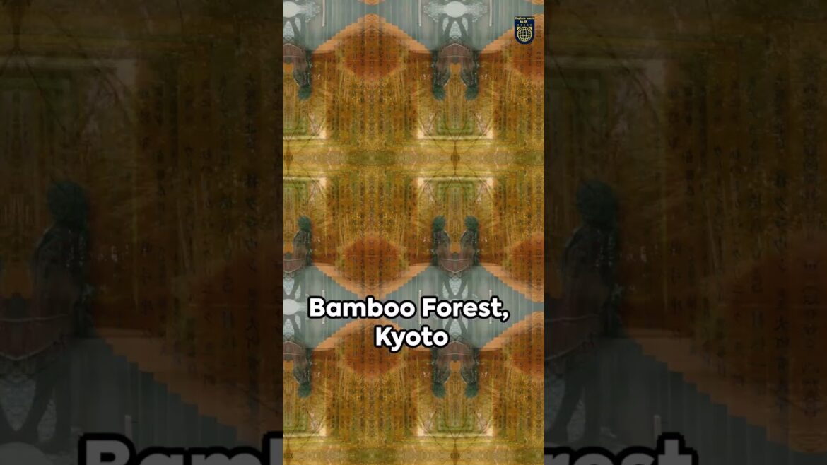 You Won't Believe These 5 Amazing Places in Japan!