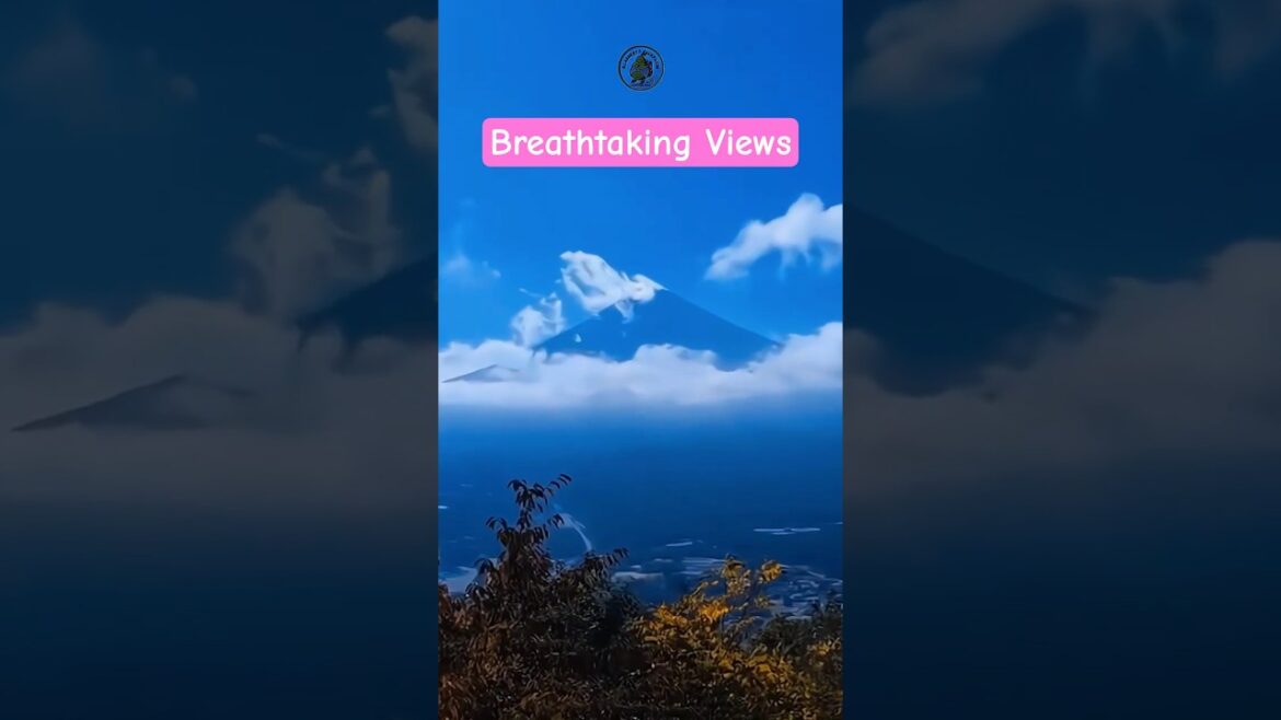 Breathtaking Views from Kawaguchiko Tenjoyama Park