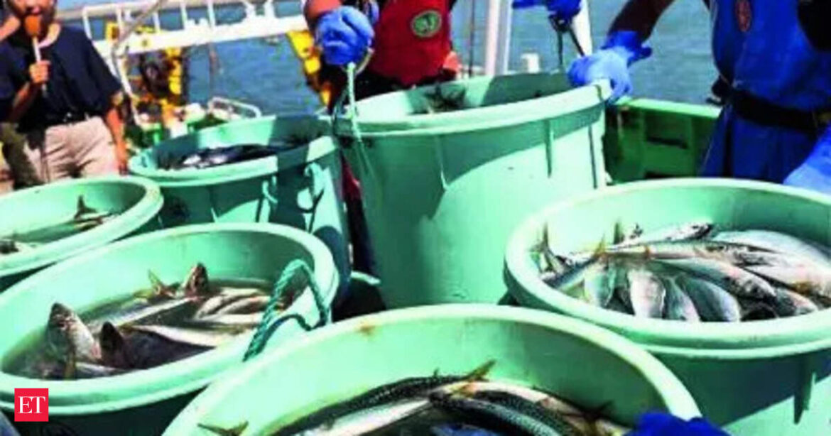 China partly lifts ban on Japanese seafood China partly lifts ban on Japanese seafood